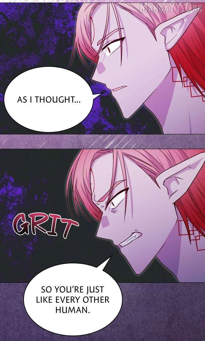 A happy ending without romance Chapter 35 page 47