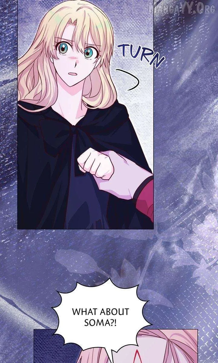 A happy ending without romance Chapter 35 page 65