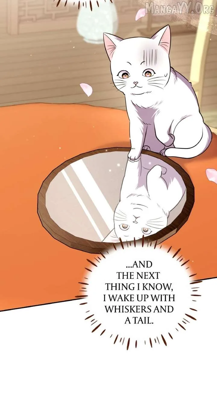 A Master, Who Woke up as a Concubine Chapter 117 page 90