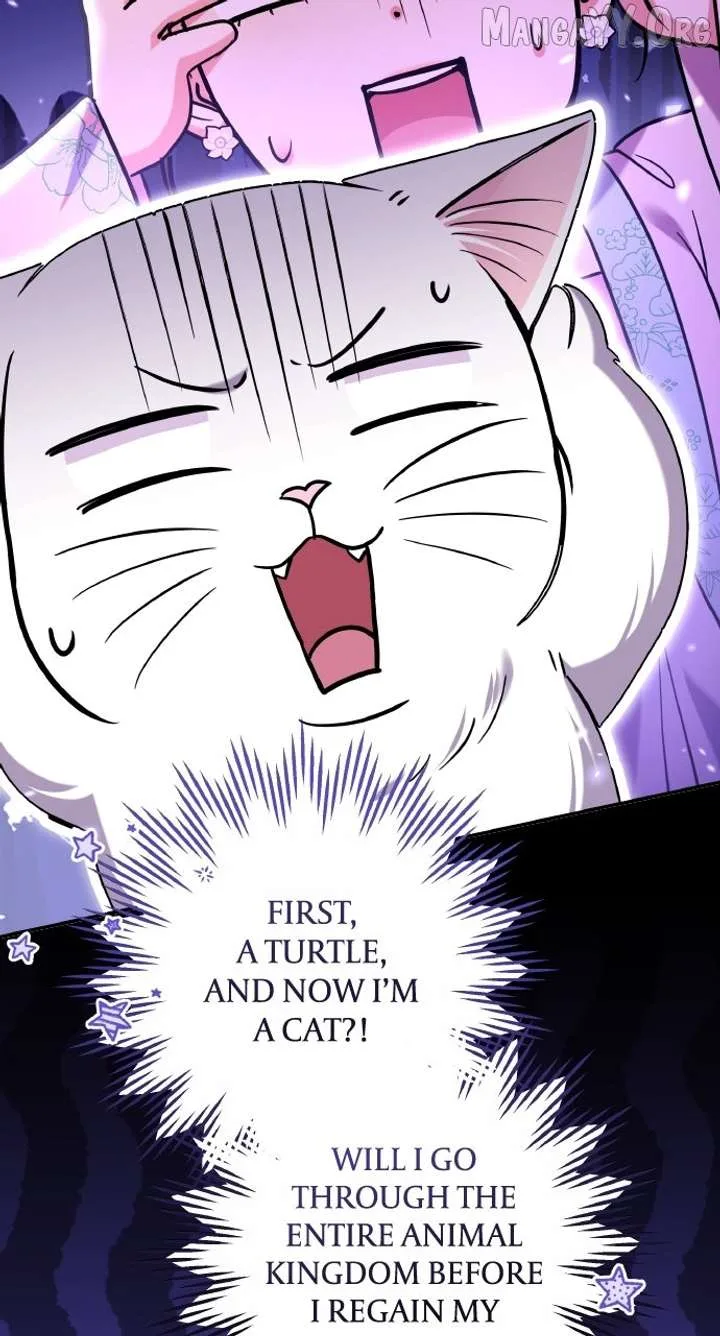 A Master, Who Woke up as a Concubine Chapter 117 page 87