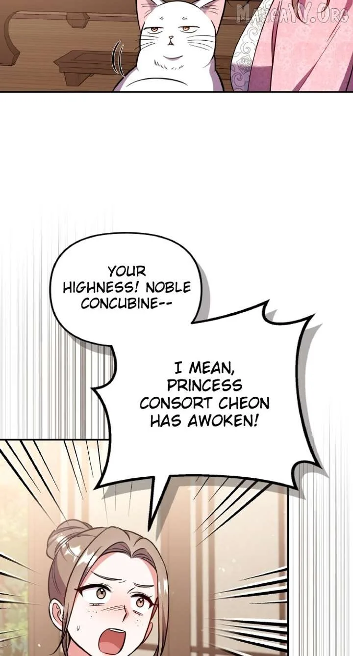 A Master, Who Woke up as a Concubine Chapter 117 page 104
