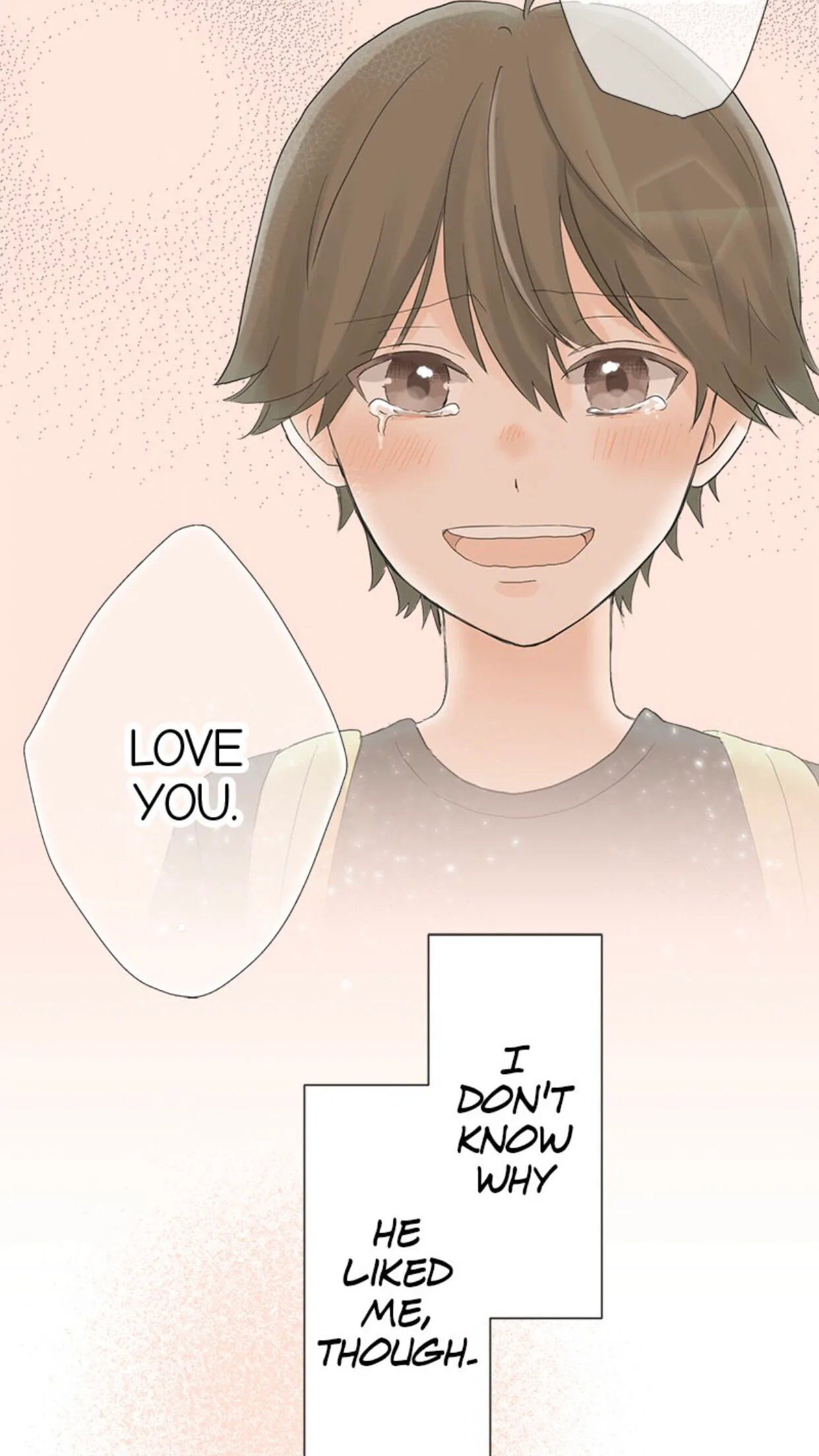 A Mismatched Complicated Love Chapter 15 page 24