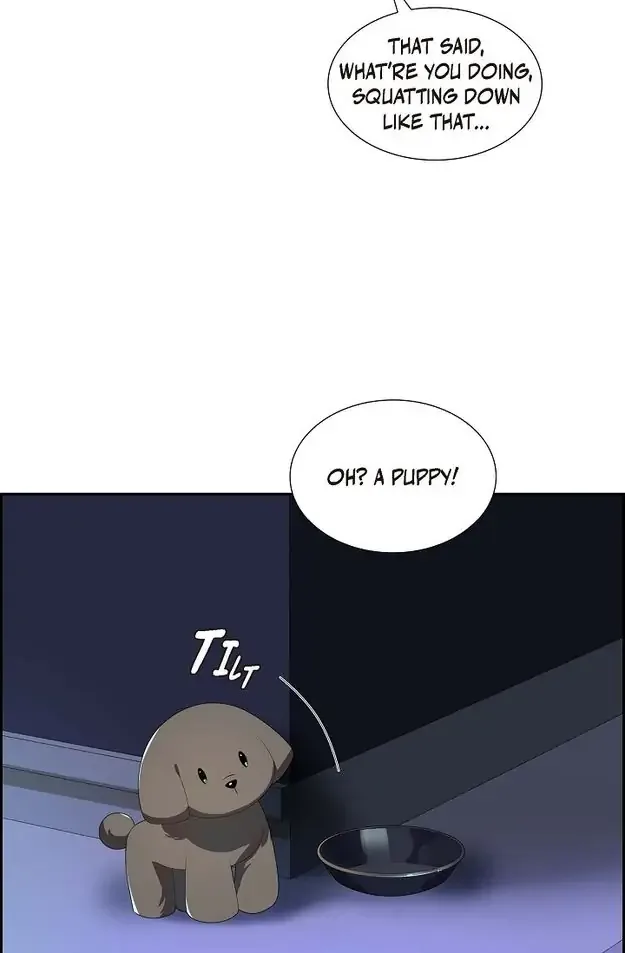 A Misogamist’s Romance Chapter 11 page 33