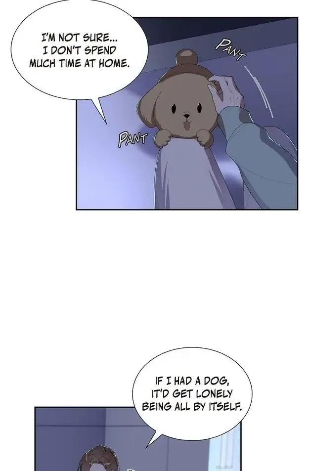 A Misogamist’s Romance Chapter 11 page 41