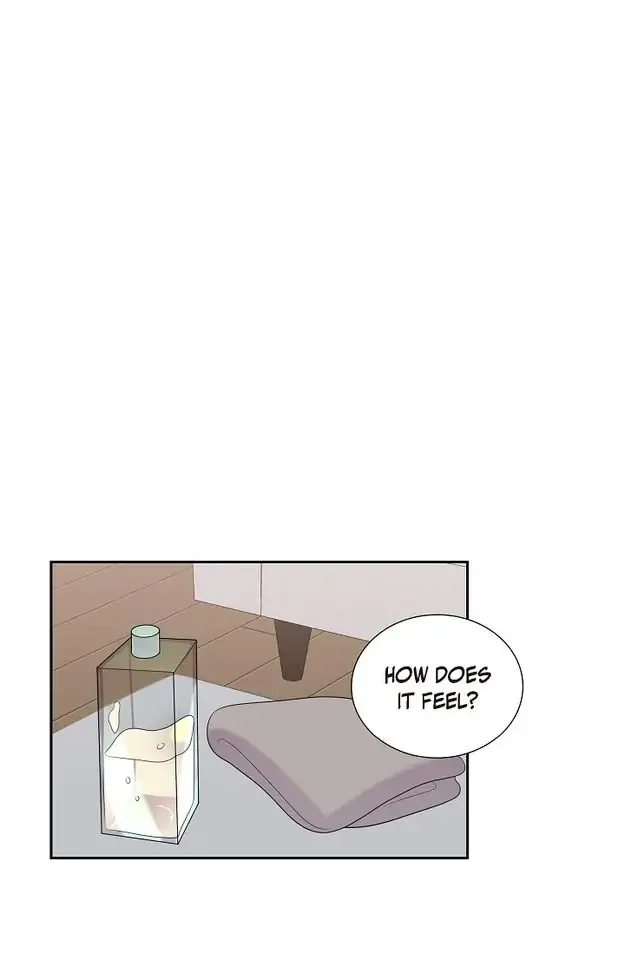 A Misogamist’s Romance Chapter 28 page 47