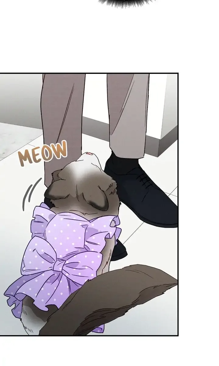 A Morning Kiss at Tiffany’s Chapter 6 page 82