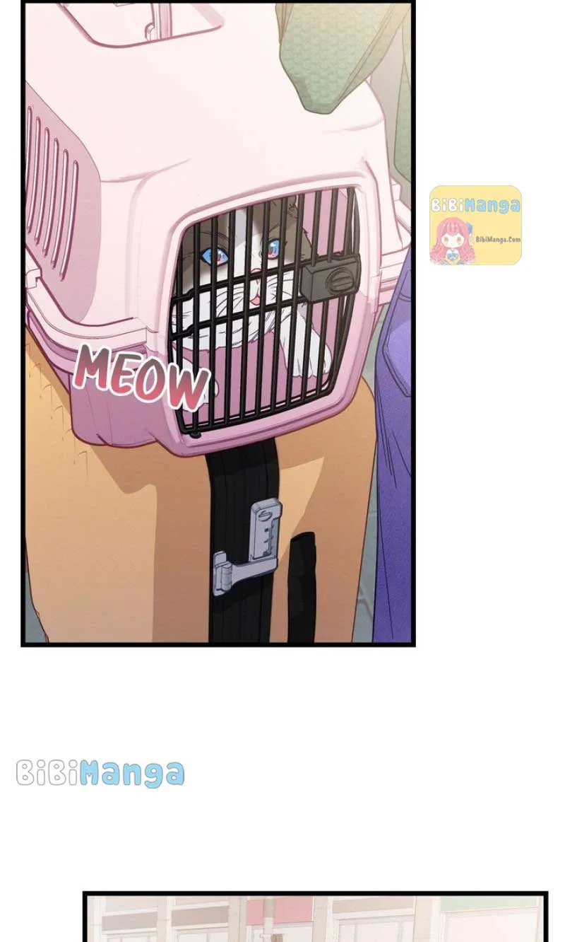 A Morning Kiss at Tiffany’s Chapter 72 page 15