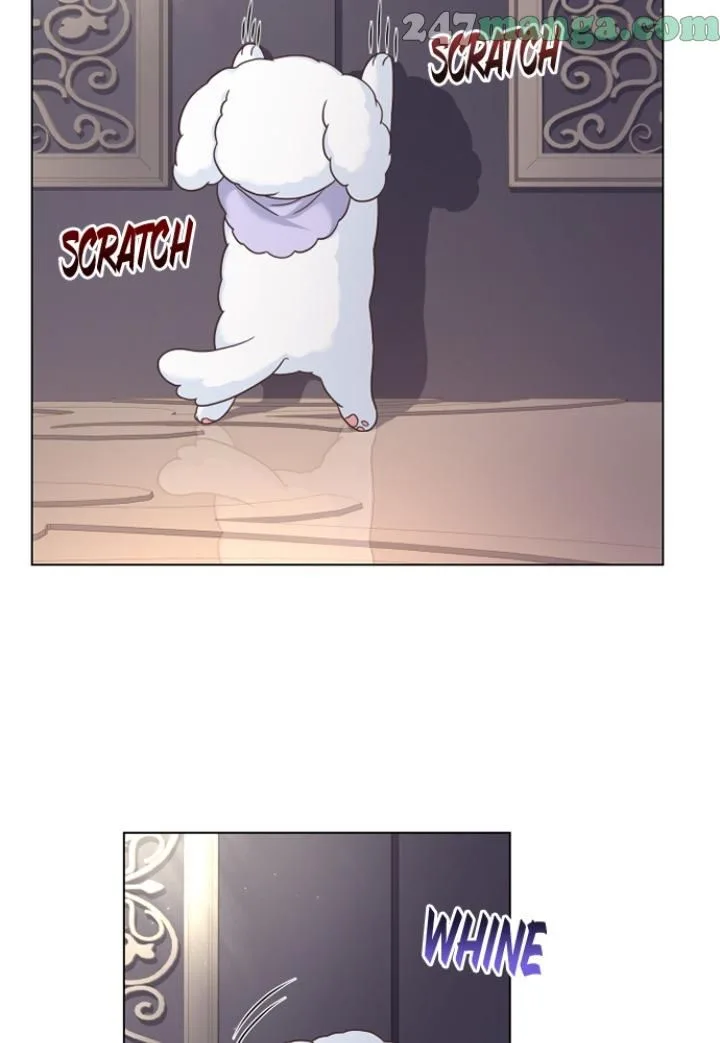 A Night With The Emperor Chapter 49 page 113