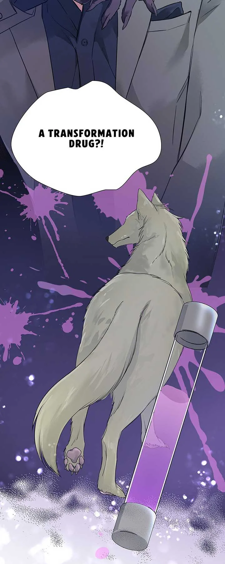 I’m NOT Afraid of Wolves! [Official] Chapter 15 page 20