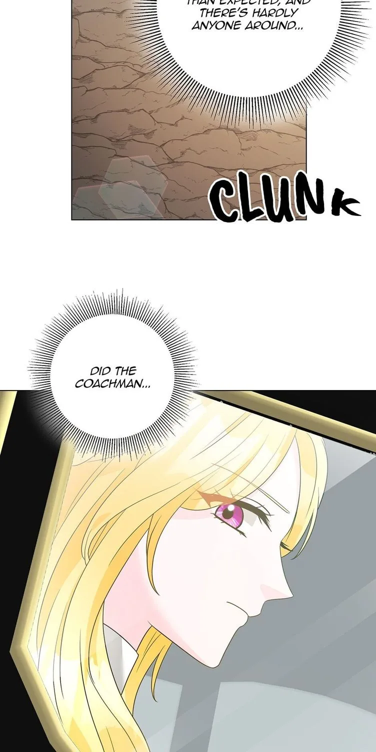 A Poisonous Lily Chapter 31 page 47