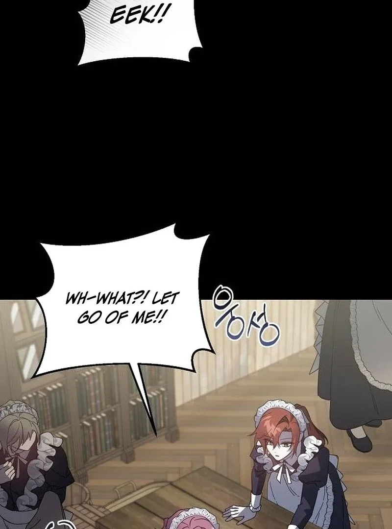 A Revenge Guide for the Terminally Ill Maid Chapter 25 page 25