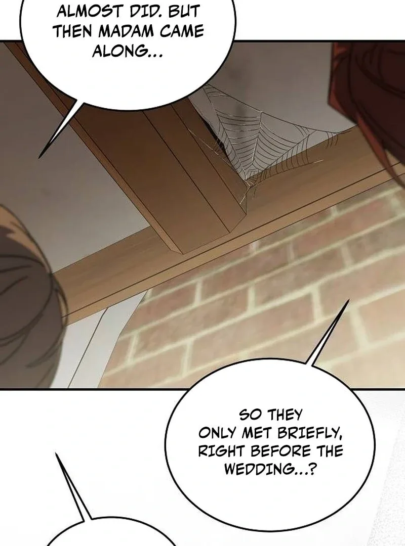 A Revenge Guide for the Terminally Ill Maid Chapter 25 page 95