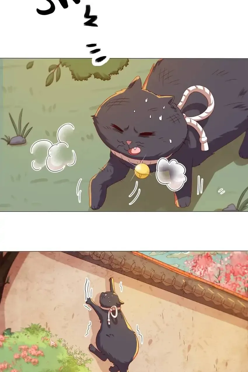 A Song Dwelling In The Clouds: Love Inside The Cage Chapter 41 page 29