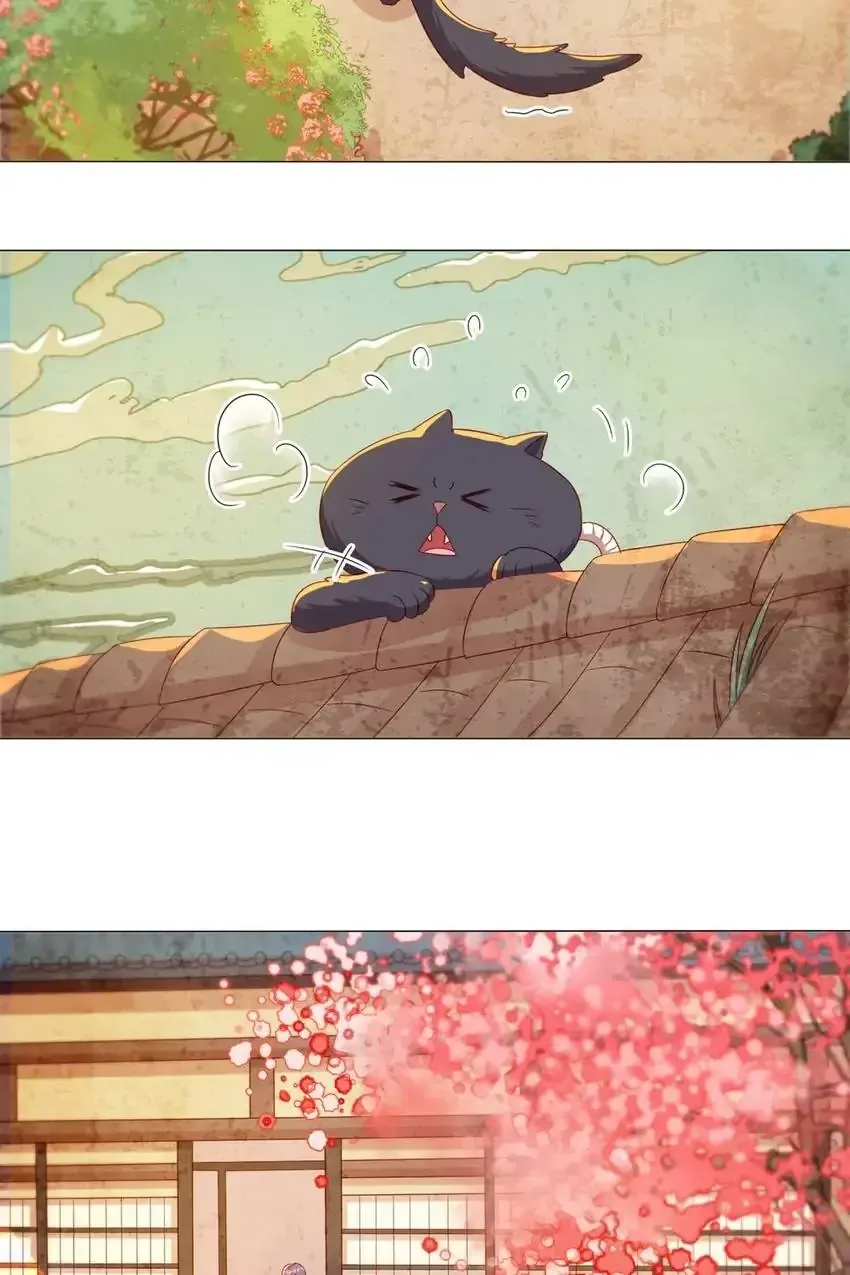 A Song Dwelling In The Clouds: Love Inside The Cage Chapter 41 page 30