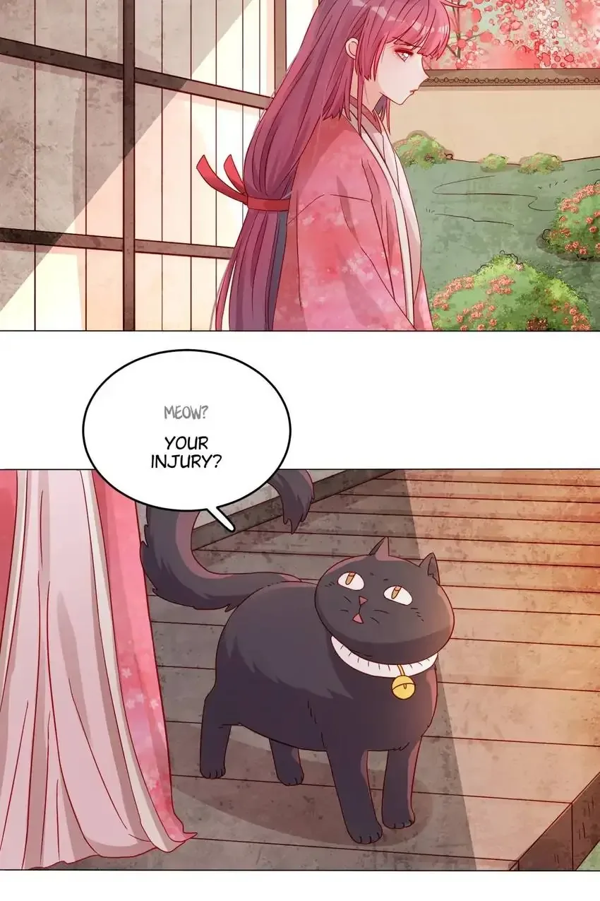 A Song Dwelling In The Clouds: Love Inside The Cage Chapter 50 page 7