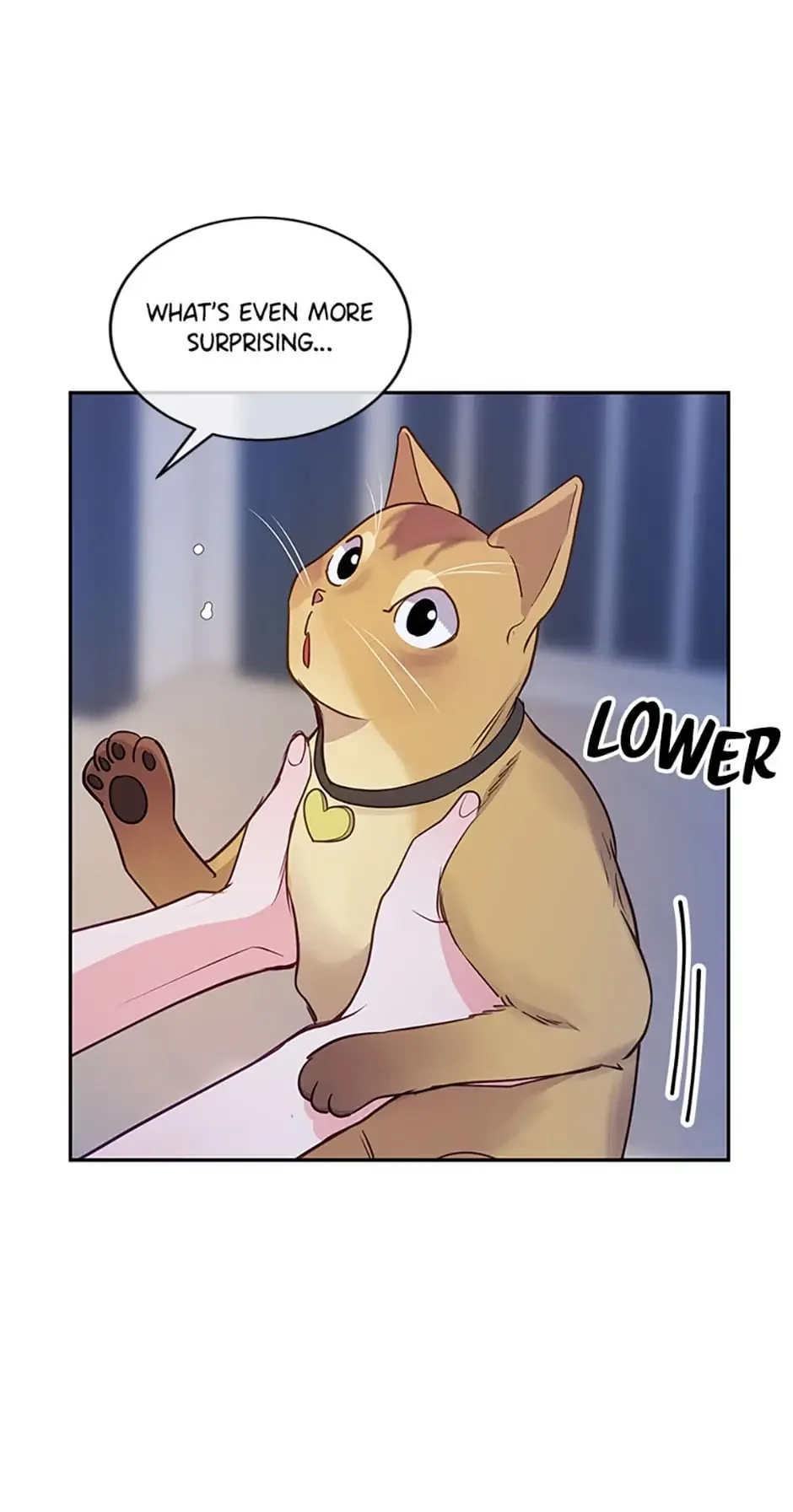 A Suspicious Confession Chapter 23 page 37