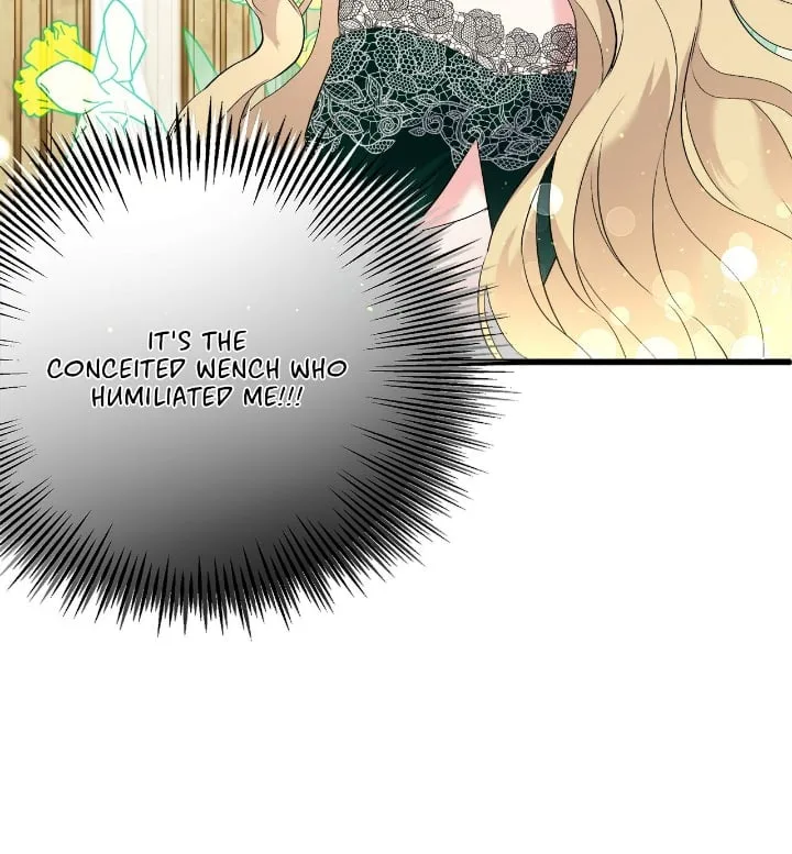 A Tipsy Marriage Proposal for the Emperor Chapter 5 page 25