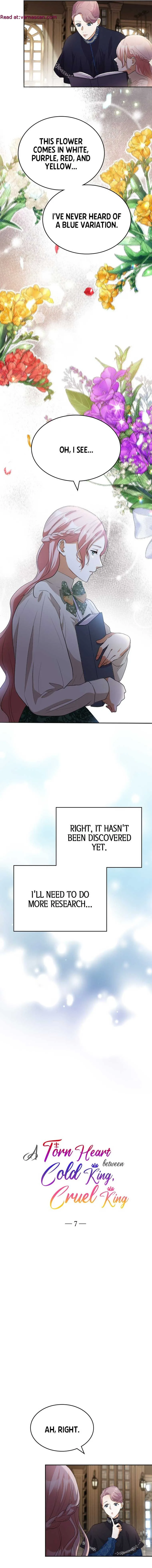 A Torn Heart between Cold King, Cruel King Chapter 7 page 3
