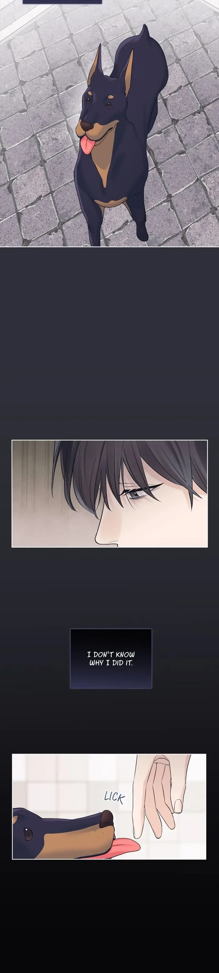 Monochrome Rumor Chapter 76 page 11