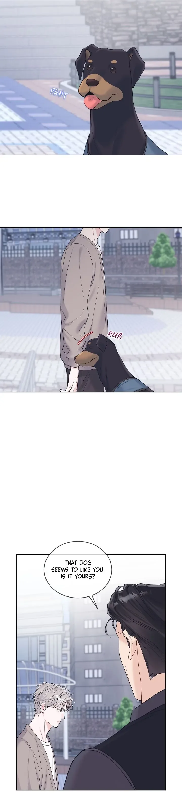 Monochrome Rumor Chapter 76 page 17