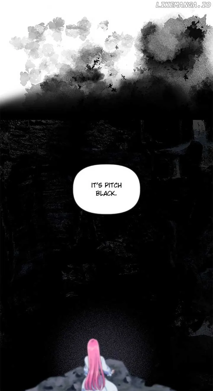 A Transmigrator’s Privilege Chapter 69 page 17