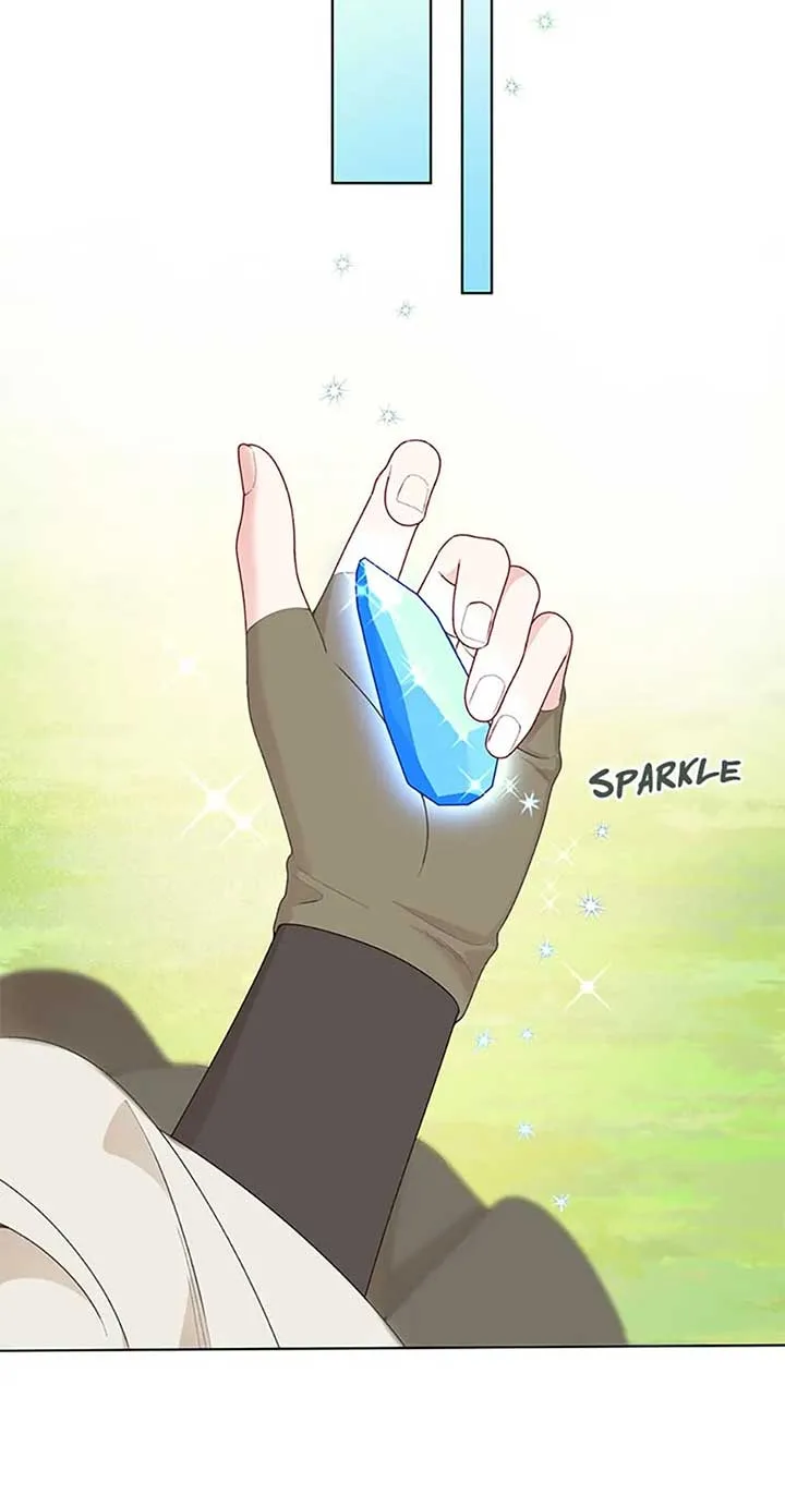 A Transmigrator’s Privilege Chapter 70 page 38
