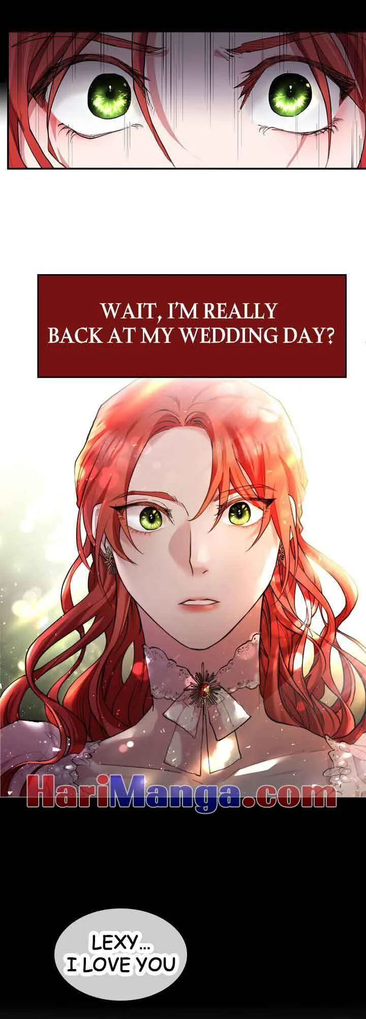 A Villainess’ Revenge Is Sweeter Than Honey Chapter 0 page 4