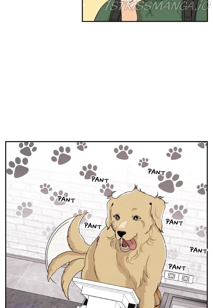 A Whirlwind Campus Affair Chapter 14 page 36