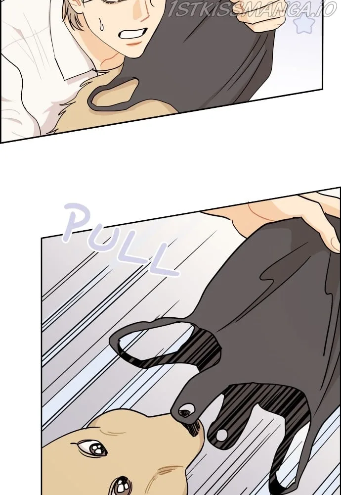 A Whirlwind Campus Affair Chapter 23 page 65