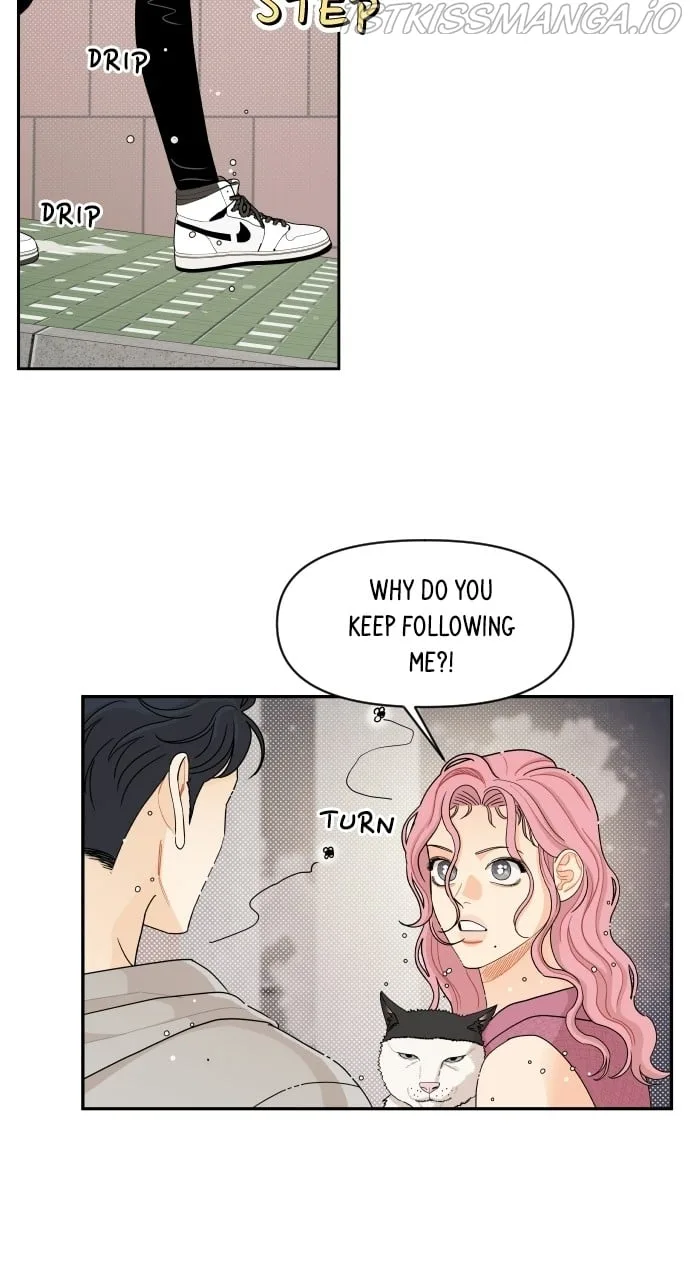 A Whirlwind Campus Affair Chapter 32 page 16