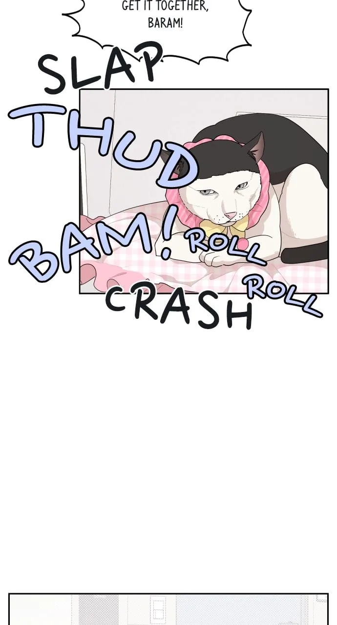 A Whirlwind Campus Affair Chapter 43 page 24