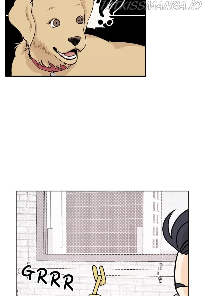A Whirlwind Campus Affair Chapter 20 page 14