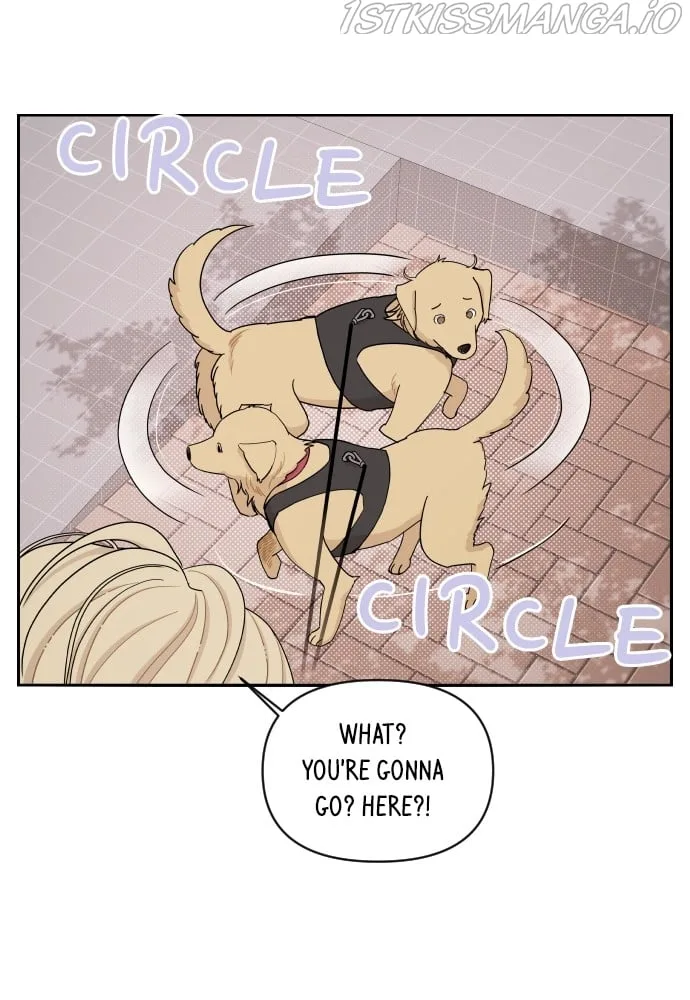 A Whirlwind Campus Affair Chapter 20 page 57