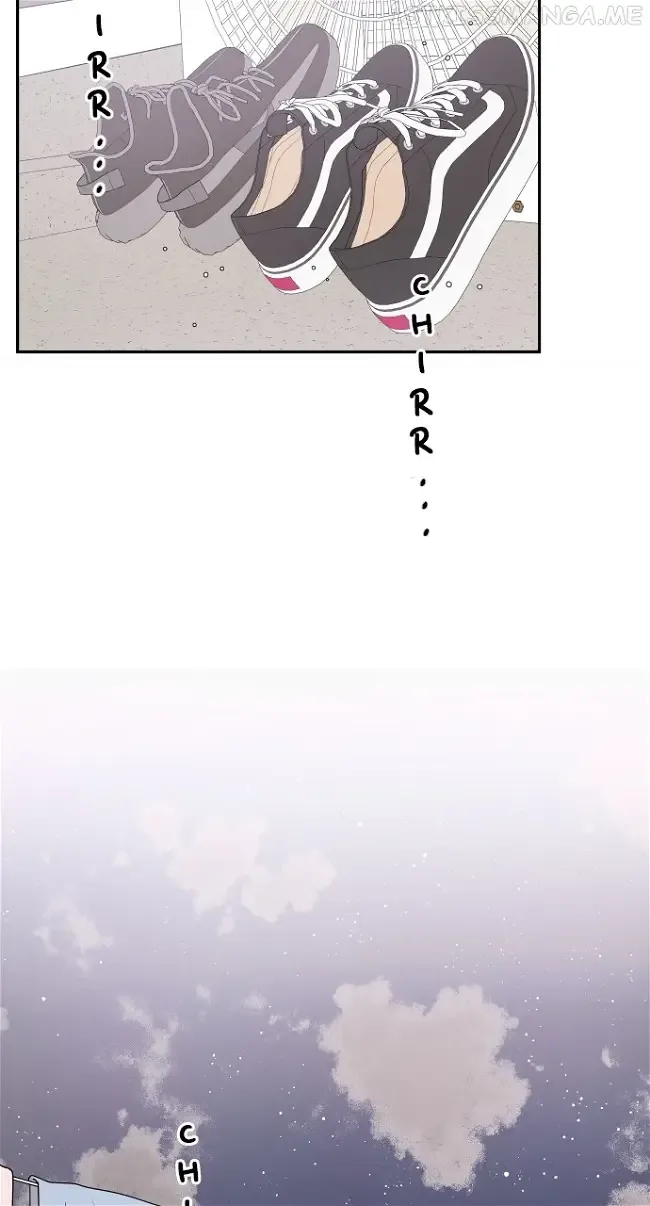 A Whirlwind Campus Affair Chapter 51 page 5
