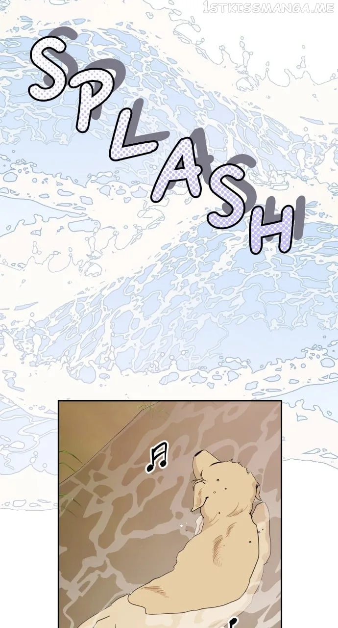 A Whirlwind Campus Affair Chapter 50 page 25
