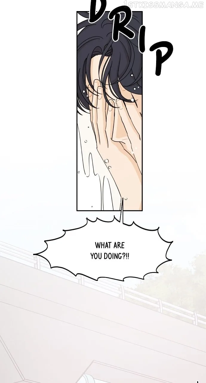 A Whirlwind Campus Affair Chapter 50 page 46