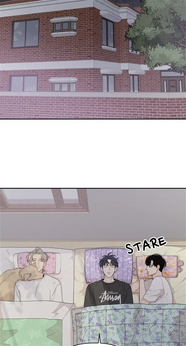 A Whirlwind Campus Affair Chapter 51 page 46