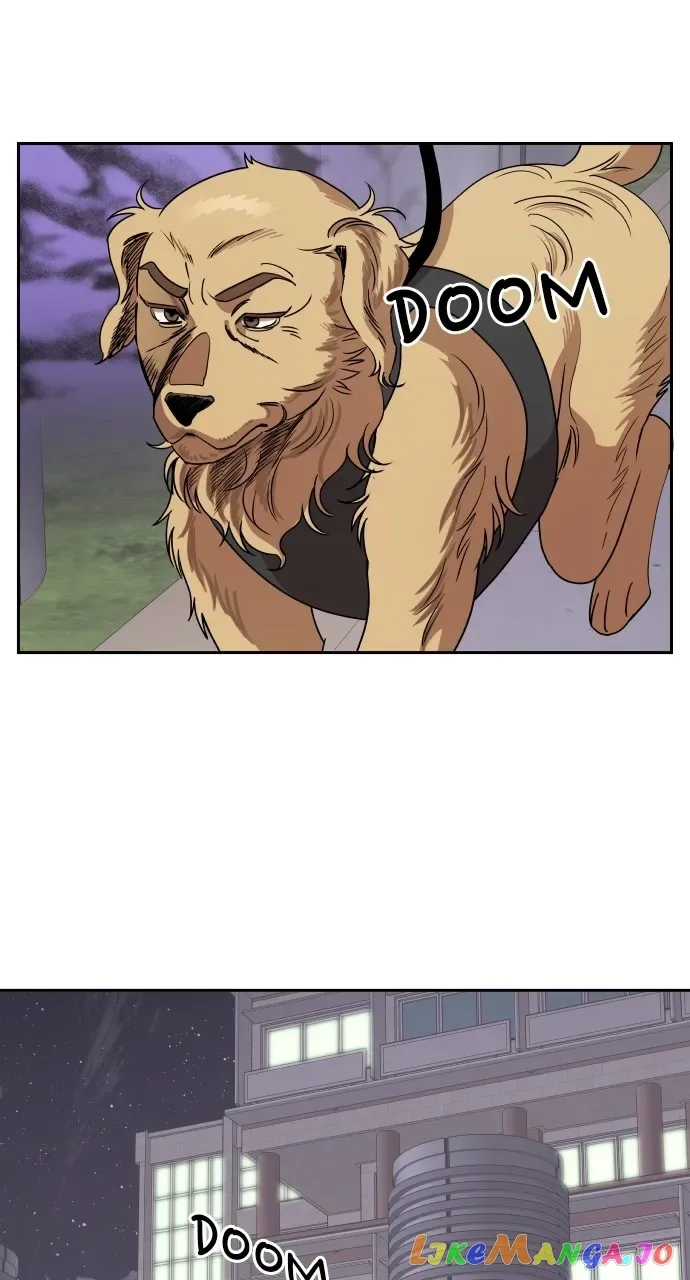 A Whirlwind Campus Affair Chapter 66 page 24