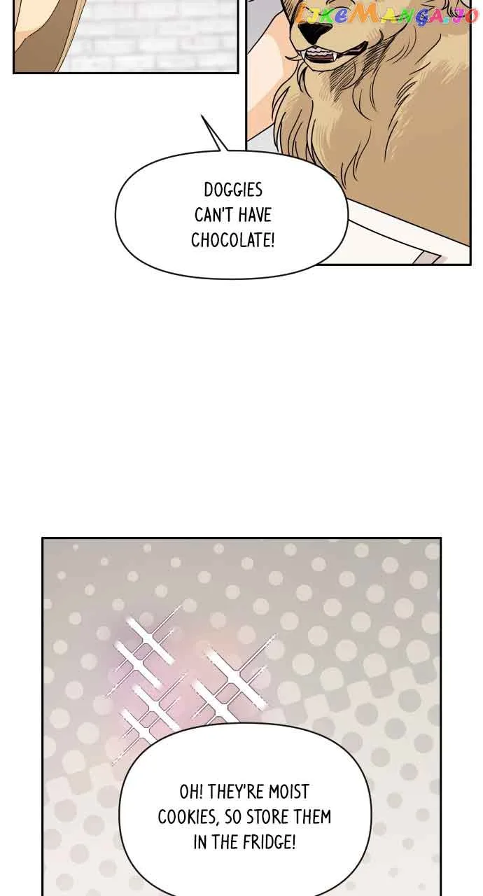 A Whirlwind Campus Affair Chapter 76 page 37