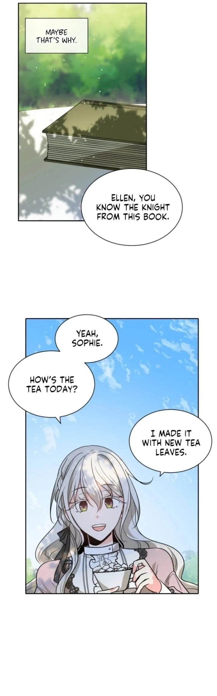 A Witch’s Hopeless Wish Chapter 40 page 13