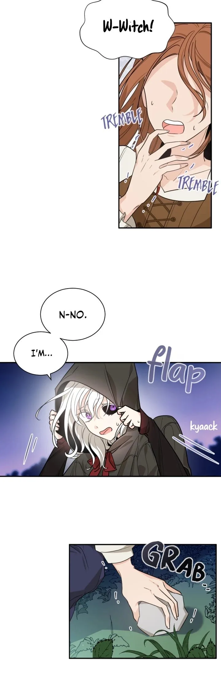 A Witch’s Hopeless Wish Chapter 47 page 10
