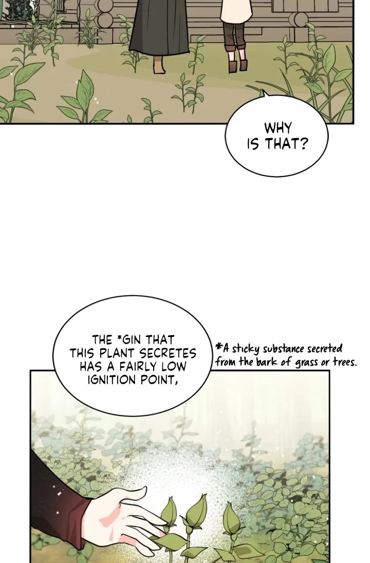 A Witch’s Hopeless Wish Chapter 48 page 27