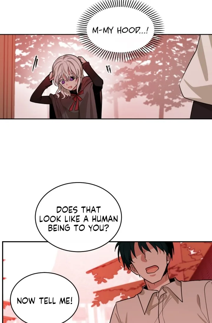 A Witch’s Hopeless Wish Chapter 48 page 40