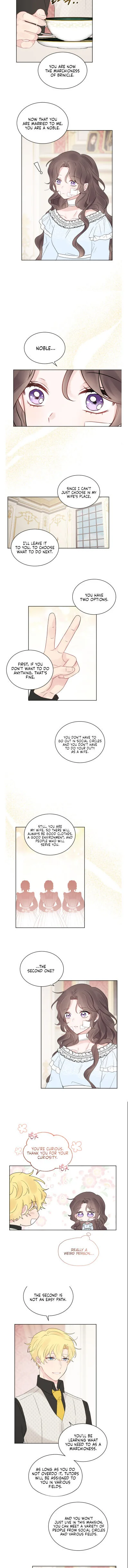 Abandoned wife has a new husband Chapter 3 page 8