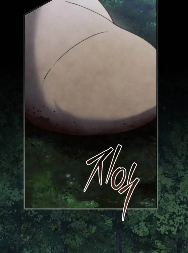 Adinmir’s Thorn Flower Chapter 31 page 3