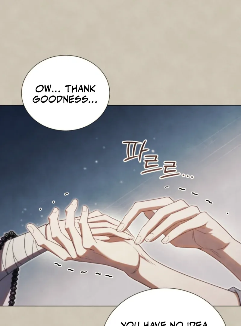 Adinmir’s Thorn Flower Chapter 31 page 27