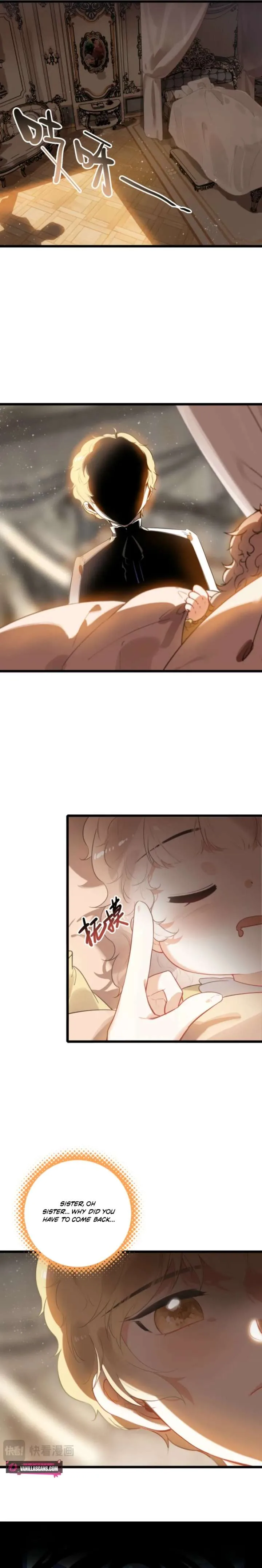 After Becoming a Dumpling, the Villain Family All Wants to Kill Me! Chapter 19 page 9