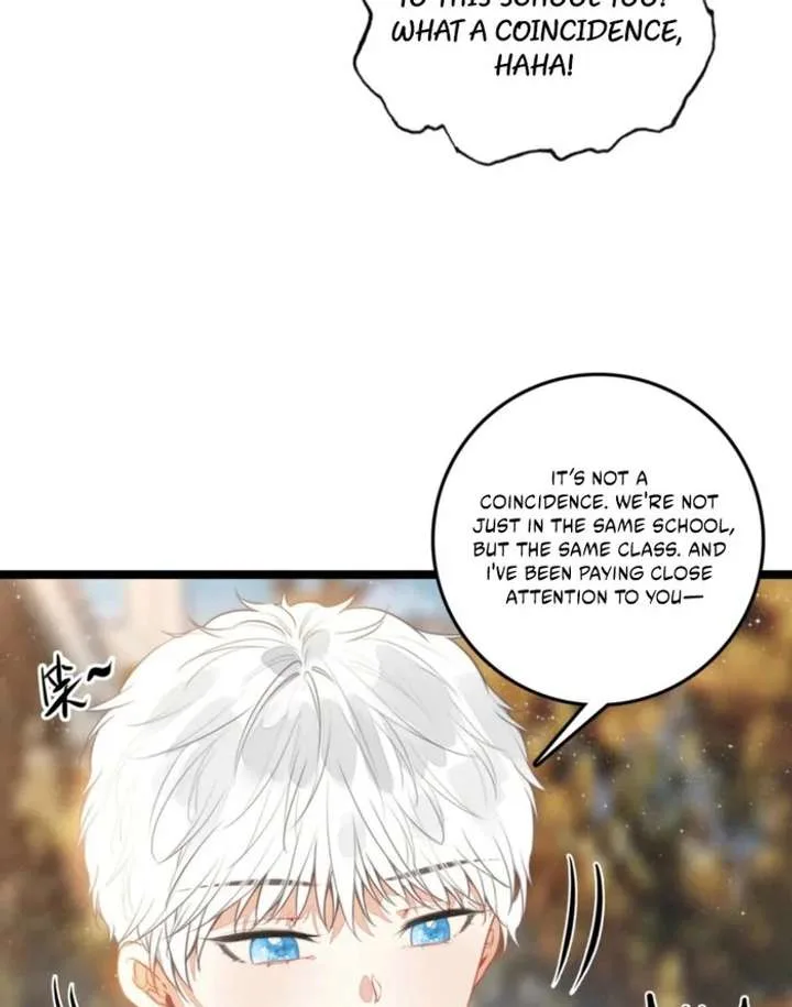 After Becoming a Dumpling, the Villain Family All Wants to Kill Me! Chapter 33 page 9