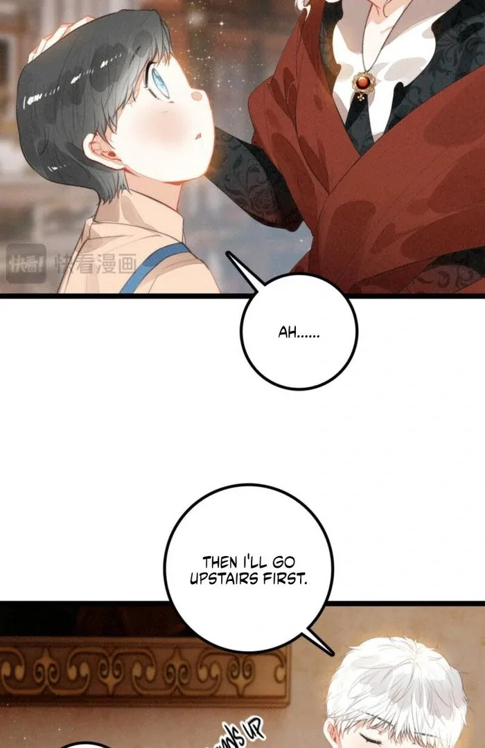 After Becoming a Dumpling, the Villain Family All Wants to Kill Me! Chapter 35 page 35
