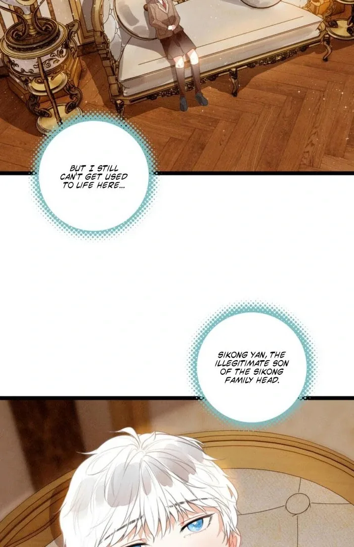 After Becoming a Dumpling, the Villain Family All Wants to Kill Me! Chapter 35 page 23